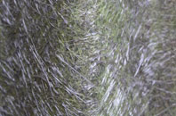 High Kilburn fibreglass roof work